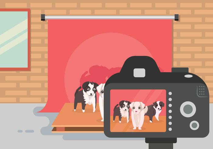 Free Border Collie Illustration vector