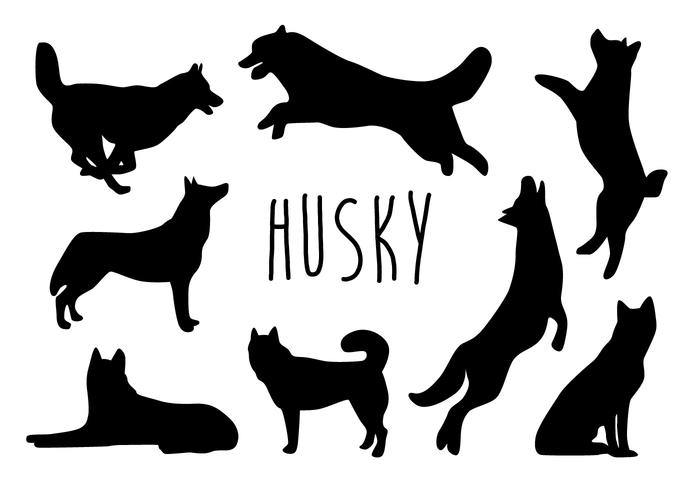 Husky Silueta Vectores