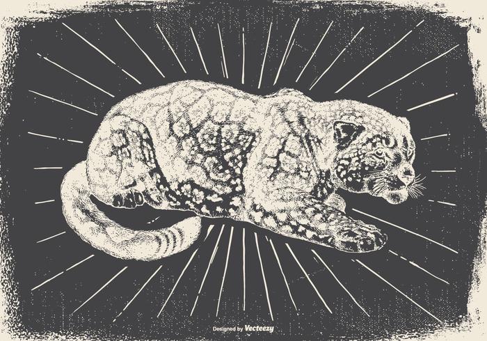 Vintage Leopard Illustration Vintage Leopard Illustration