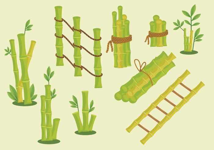 Green bamboo frame vector pack