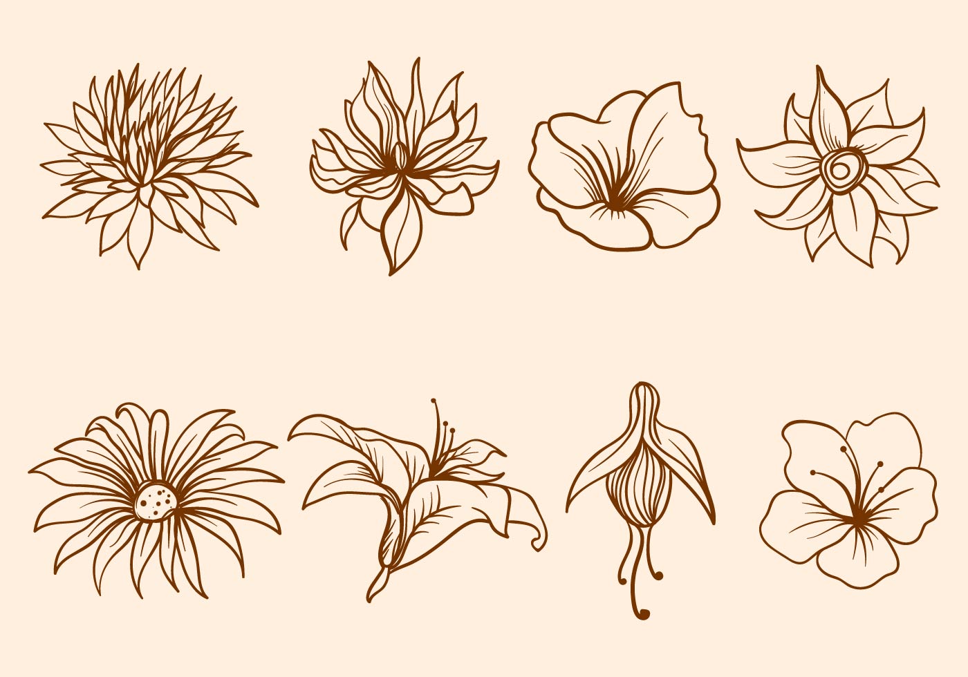 Download Hand Drawn Flower Vector - Download Free Vector Art, Stock ...