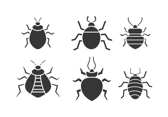 Bed bug vector