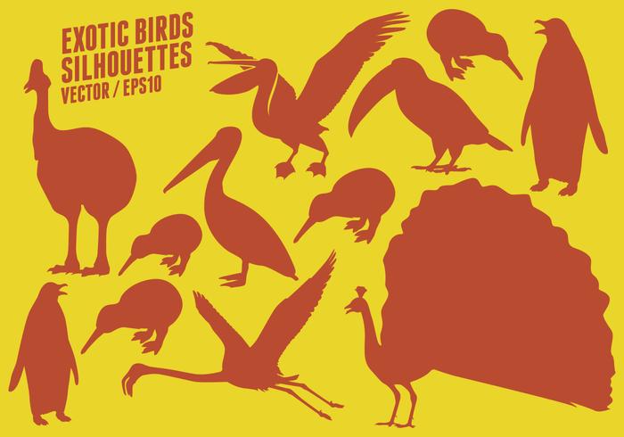 Exotic Birds Silhouettes vector