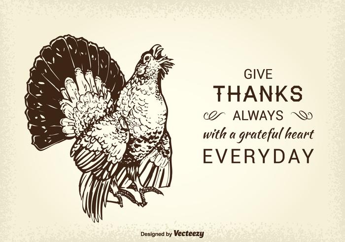Free Thanksgiving Wild Turkey Vector Card