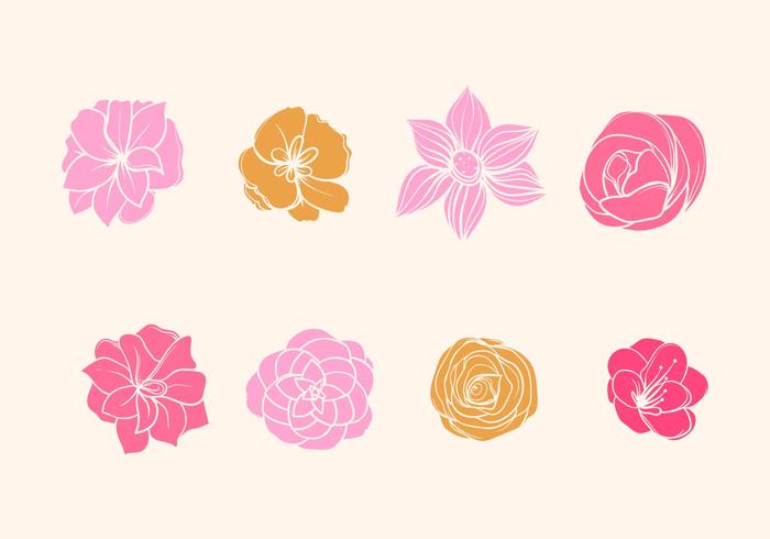 Vectoriales sin flor de Camelia vector