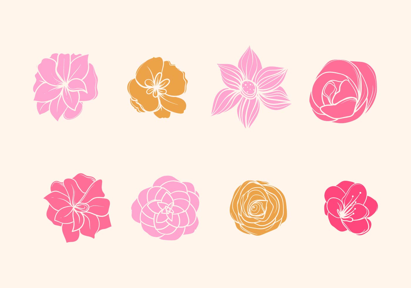 Download Camelia Flower Vector - Download Free Vectors, Clipart ...