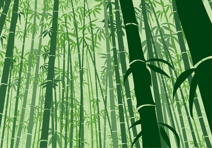 Bamboo Background Frog Angle Free Vector