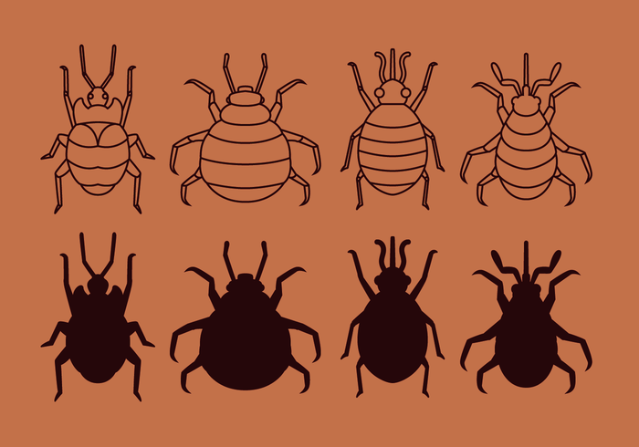 Free Bed Bug Vector Free Bed Bug Vector