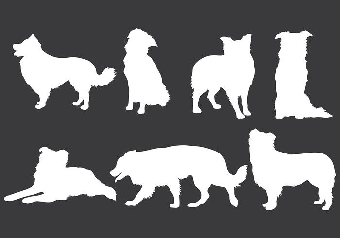 Free Border Collie Icons Vector