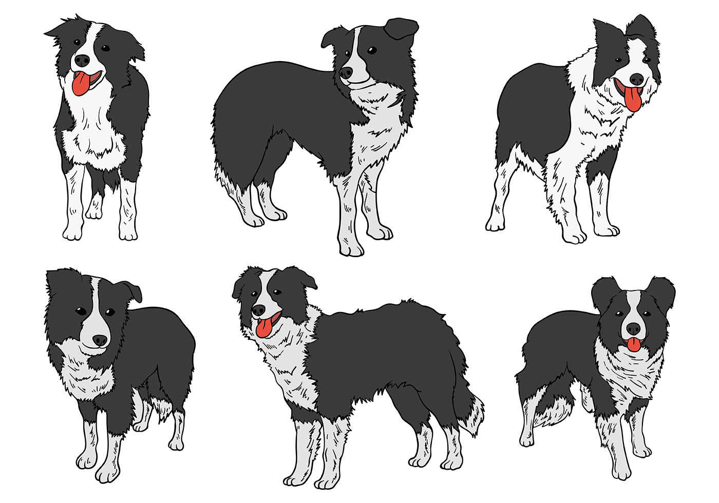 Download Free Border Collie Icons Vector - Download Free Vectors ...