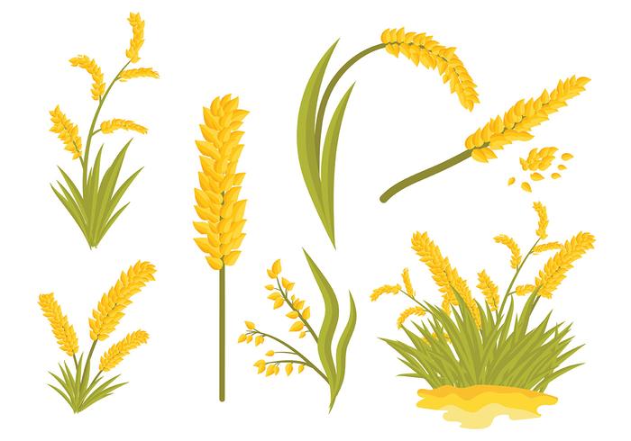 Iconos De La Avena Del Mar Libre vector