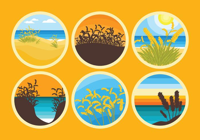 Free Sea Oats Icons Vector