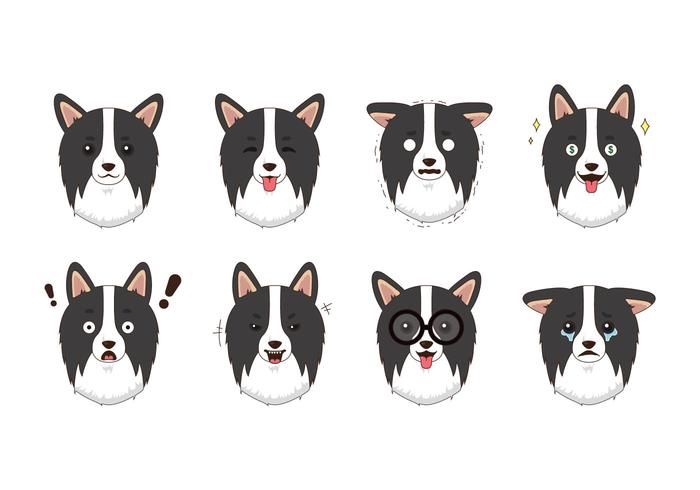 Vector Border Collie gratis