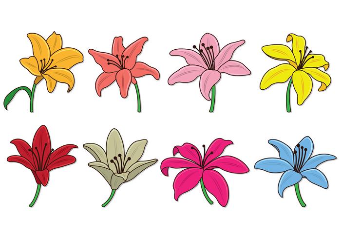 Set Of Easter Lily Vectors