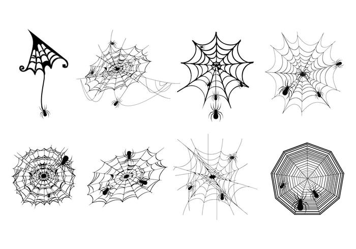 Spider Web Vector