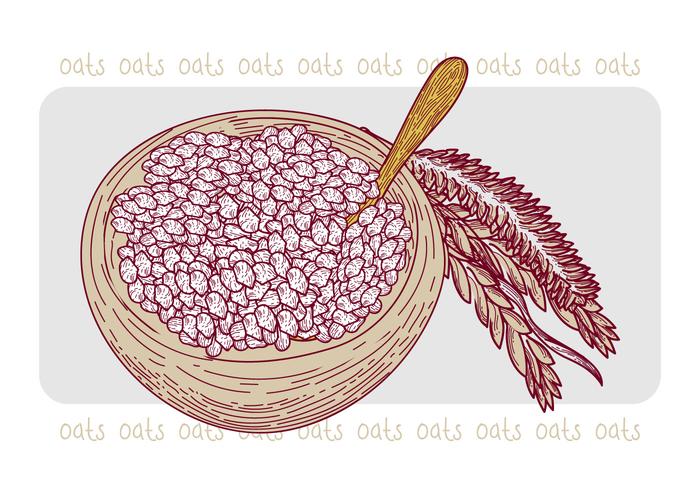 Free Oats Vector Illustration
