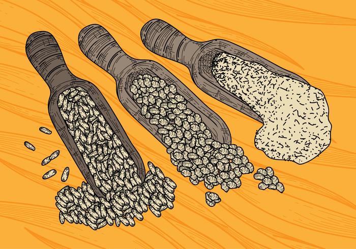 Free Oats Vector Illustration