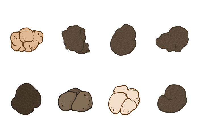 Free Truffles Vector