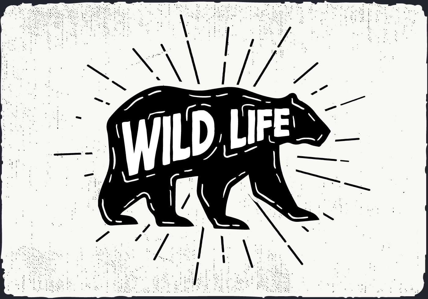 Free Vector  Hand drawn wild animals