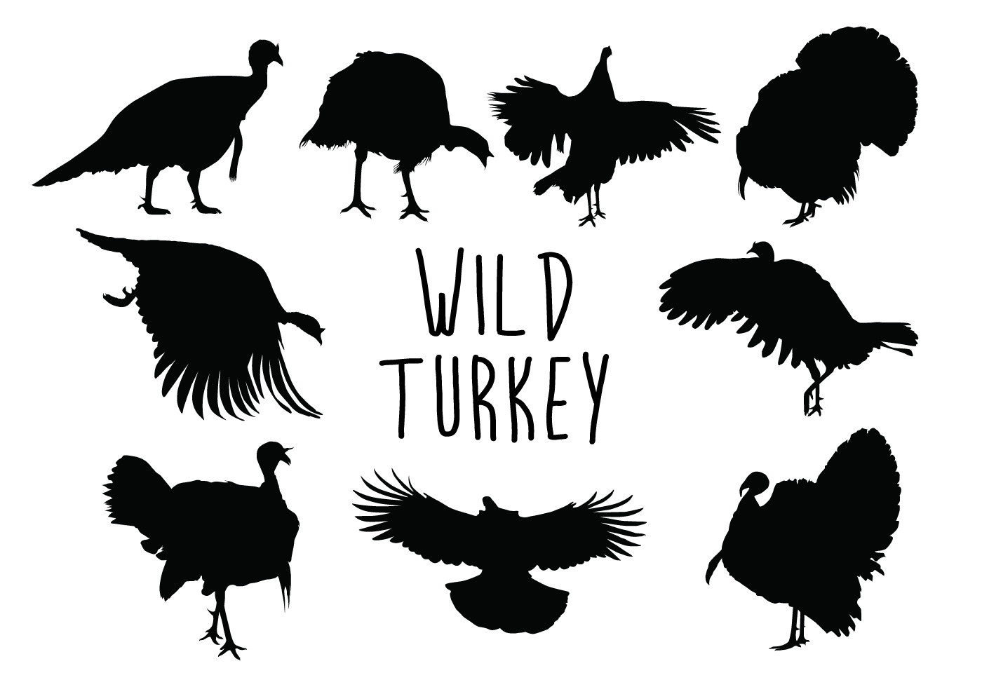 Download Wild Turkey Silhouette - Download Free Vectors, Clipart Graphics & Vector Art