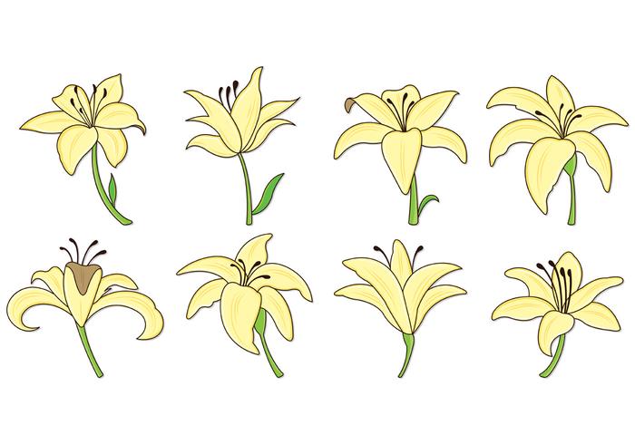 Set Of Easter Lily Icons vector