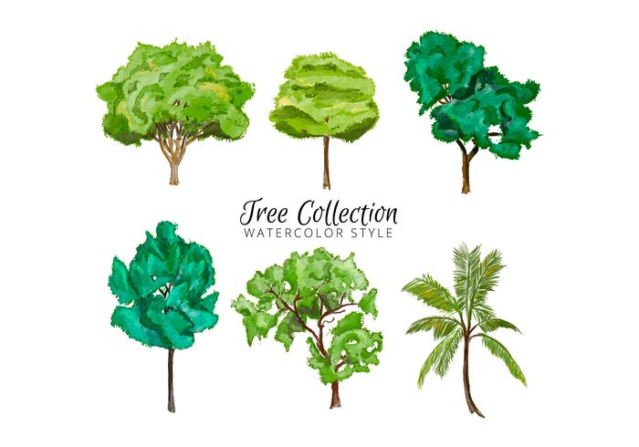 Watercolor Tree Collection vector