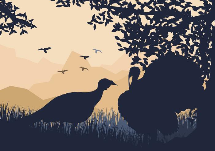 Couple Of Wild Turkey Look For Something To Eat vector