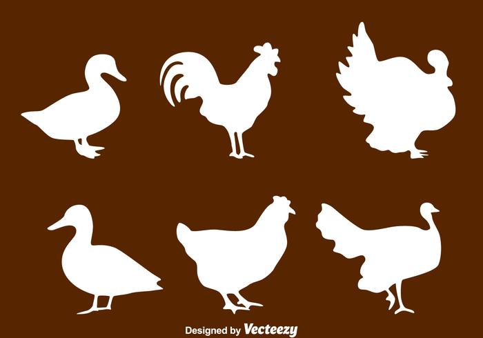 Silhouette Fowl Collection Vector
