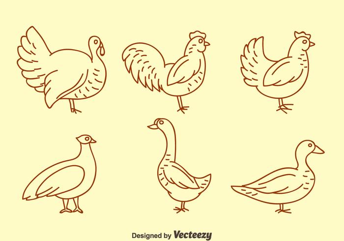 Vector de aves de corral Línea iconos