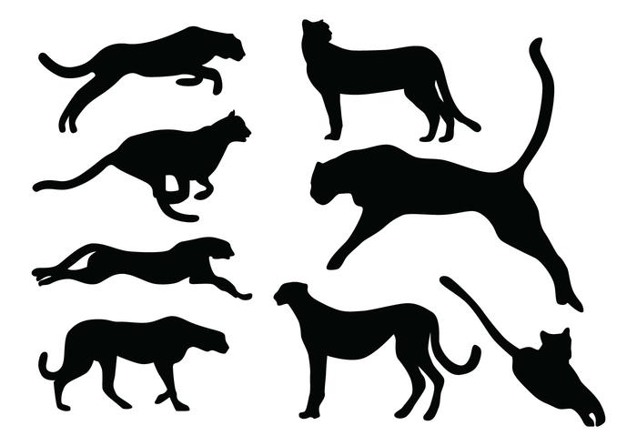 Cheetah Silhouette Vectors