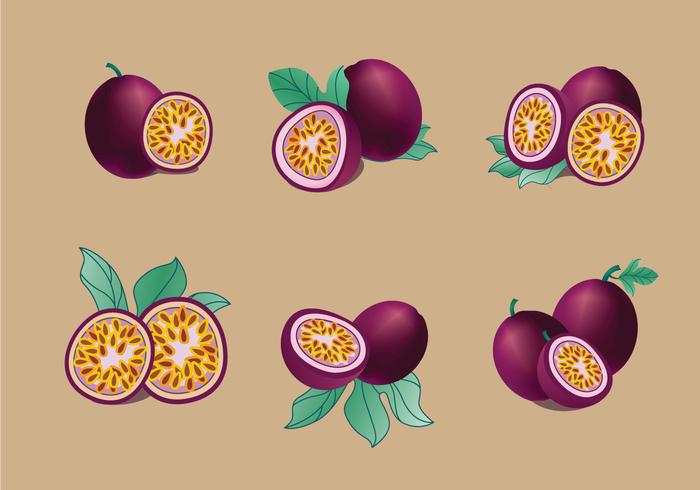 Passion Fruit Vector Pack Vector Art At Vecteezy