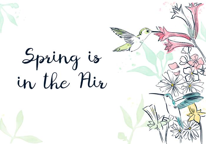 Spring Background  vector