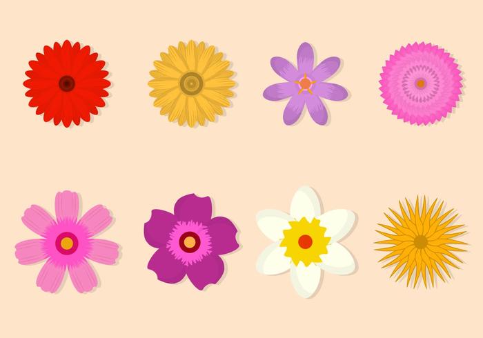 Flower Vector Collection