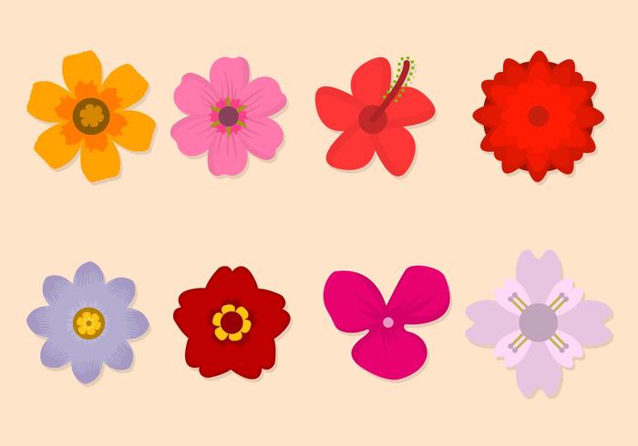Free Flower Vector Collection Free Flower Vector Collection