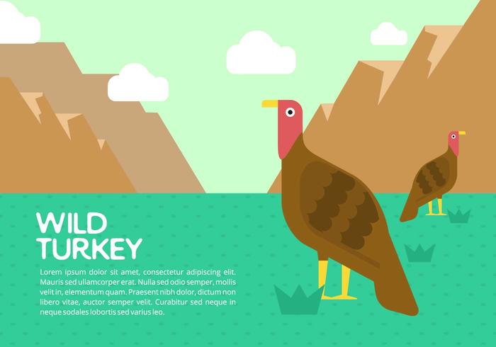 Wild Turkey Background Wild Turkey Background