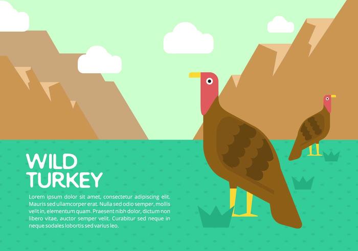 Wild Turkey Background vector