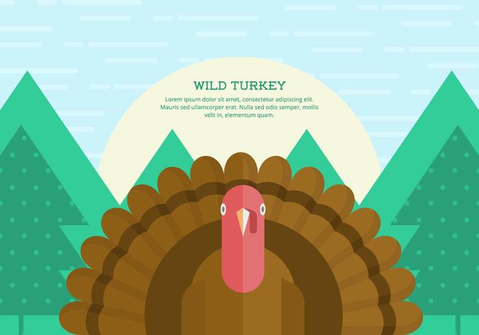 Wild Turkey Background vector