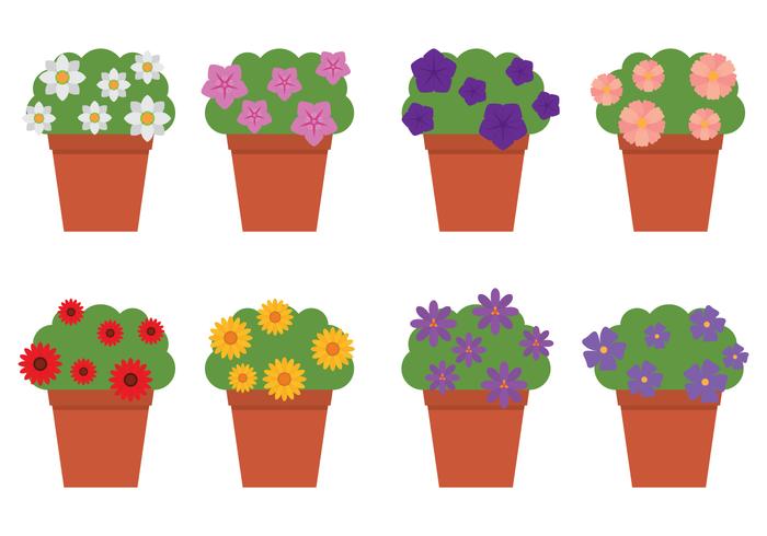 Outdoor Flowers In Flowerpots vector