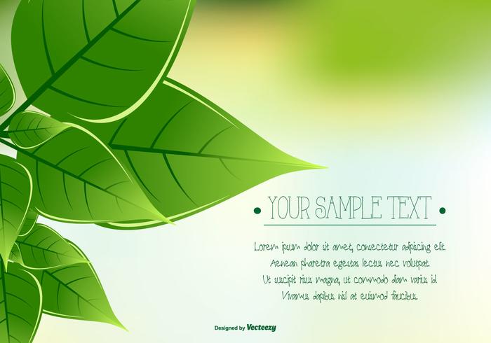 Green Leaf Background