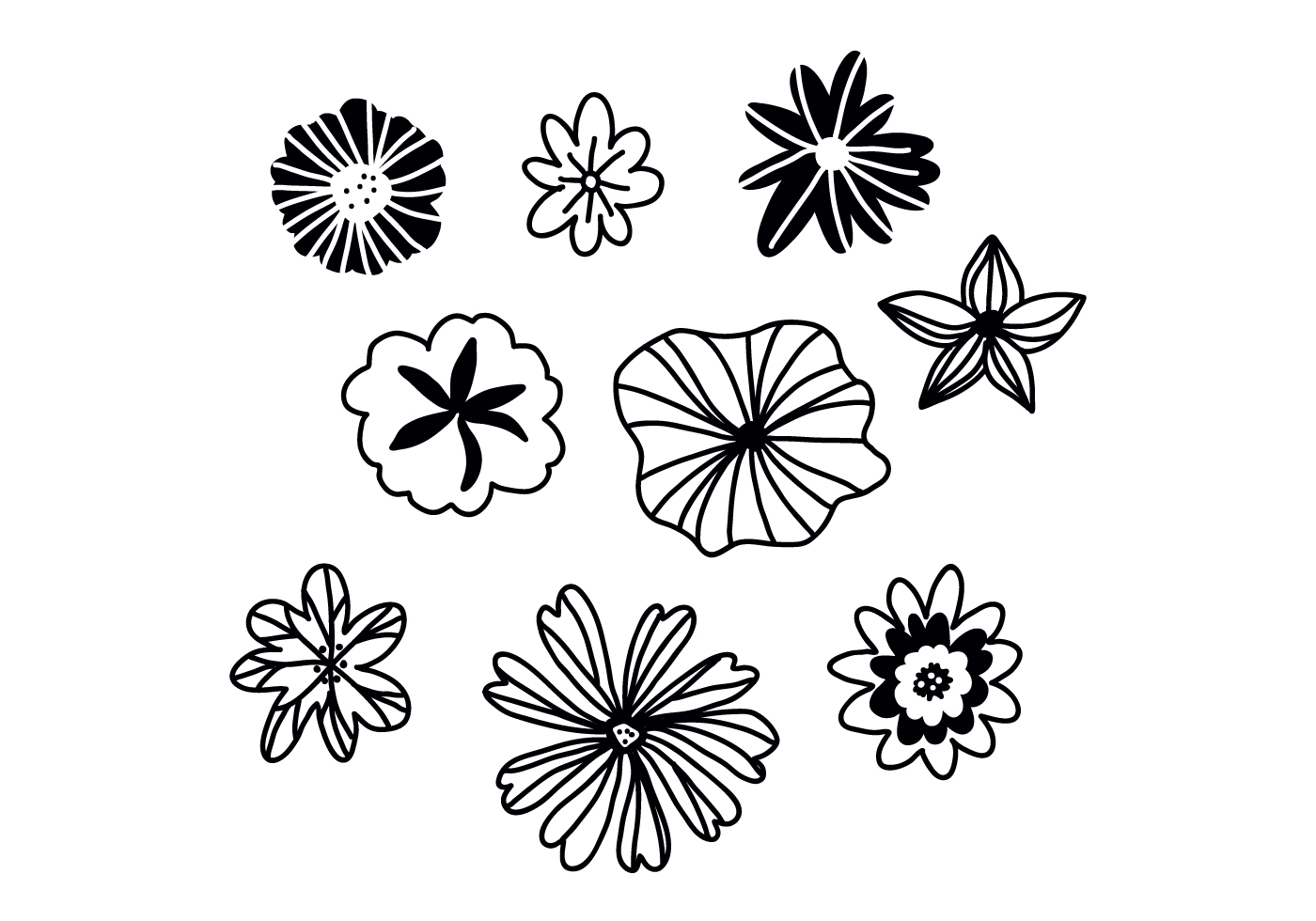 Download Set Of Black And White Flowers - Download Free Vectors ...