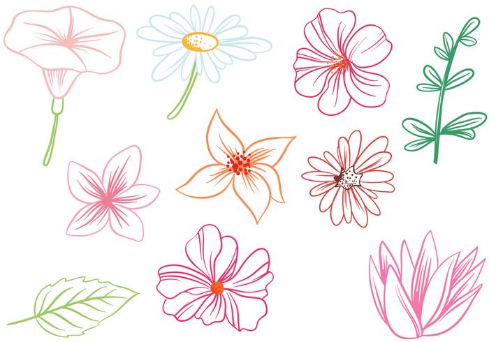 Free Flowers Vectors