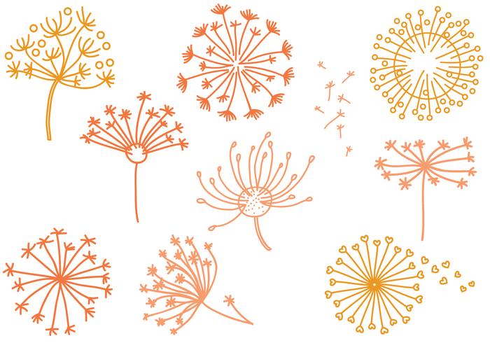 Free Dandelion Vectors