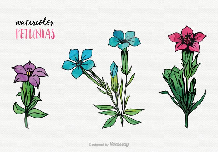 Watercolor Petunia Vector Set Watercolor Petunia Vector Set