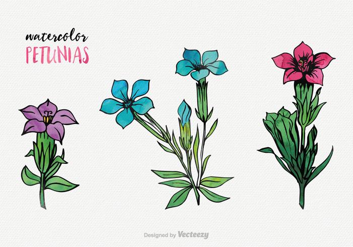 Acuarela Petunia Vector Set