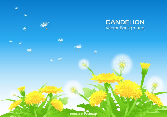 Dandelion Vector Background