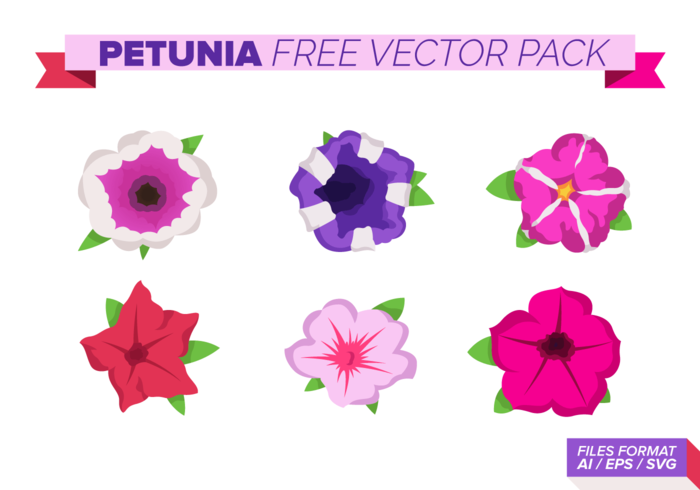 Petunia Free Vector Pack Petunia Free Vector Pack