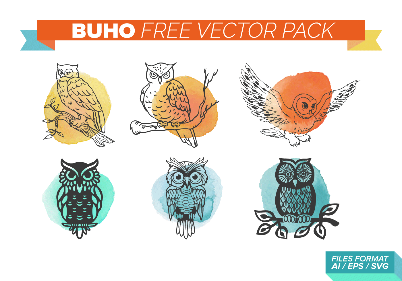 Download Buho Free Vector Pack - Download Free Vectors, Clipart ...