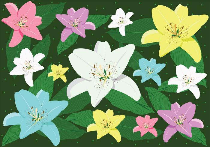 Easter Lily Vector Art