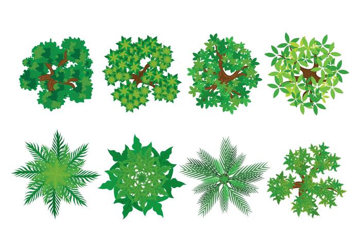 Árbol Tops Vector Icono