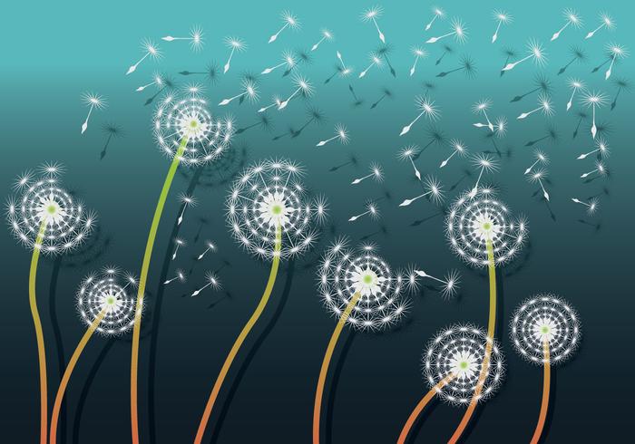 Beautiful Blowball Dandelion Vector Background